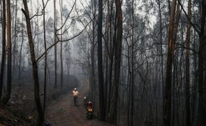 Mais de 4.100 operacionais combatiam 95 fogos às 03:00