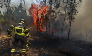 Mais de 1.500 operacionais combatiam às 12:00 oito fogos significativos em curso