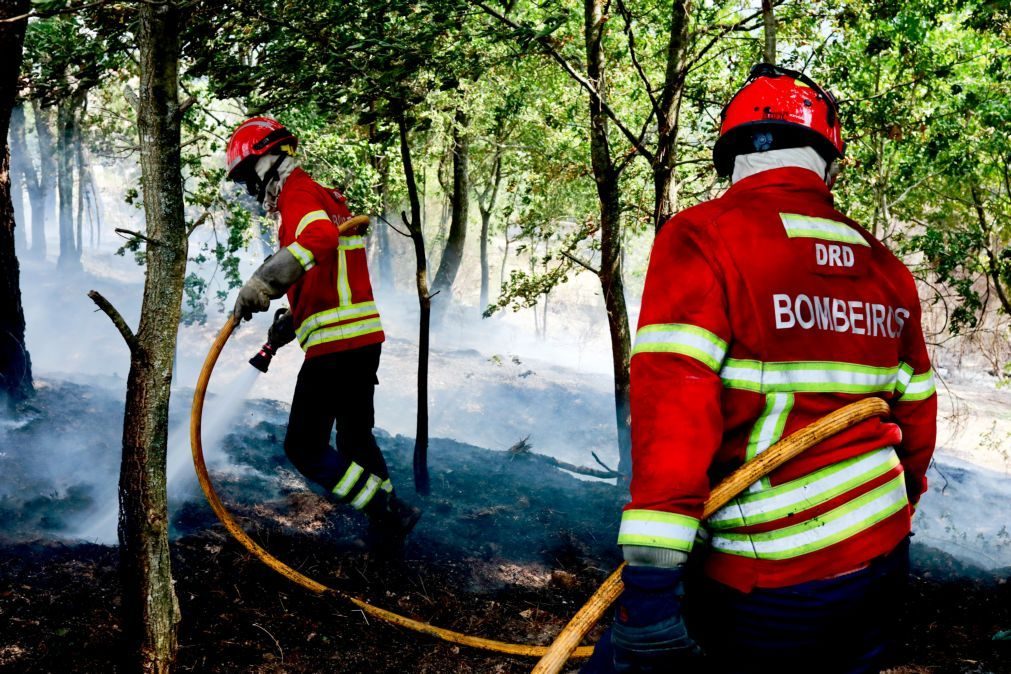 Mais de 121 mil hectares arderam em Portugal continental desde domingo