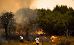 Mais de 80 incêndios às 00:00 combatidos por cerca de 3.700 operacionais