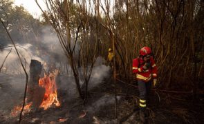 Incêndios de Vila Pouca de Aguiar 