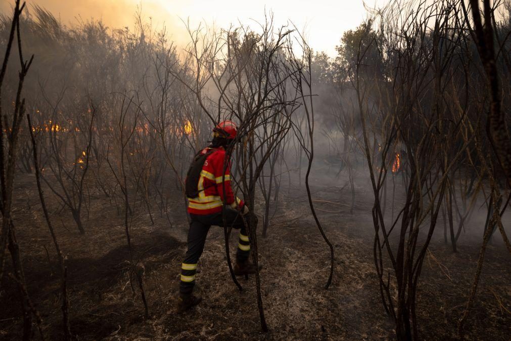 Fogos de Peso da Régua e de Alijó em resolução