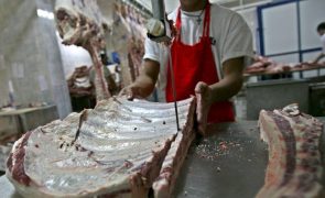 ASAE apreende 410 quilos de carne imprópria para consumo em talho