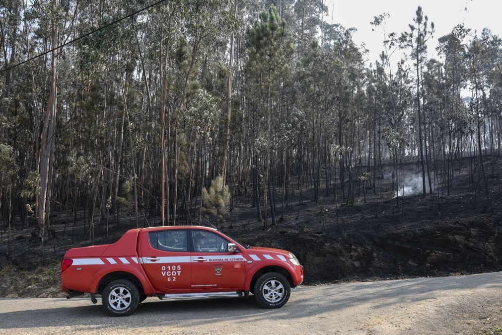 Mais de 124 mil hectares arderam em Portugal continental desde domingo