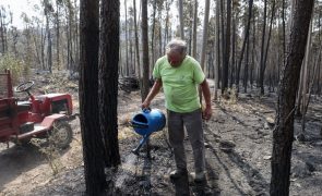 Proteção Civil diz que fogos de Castro Daire, Arouca e São Pedro do Sul estão dominados