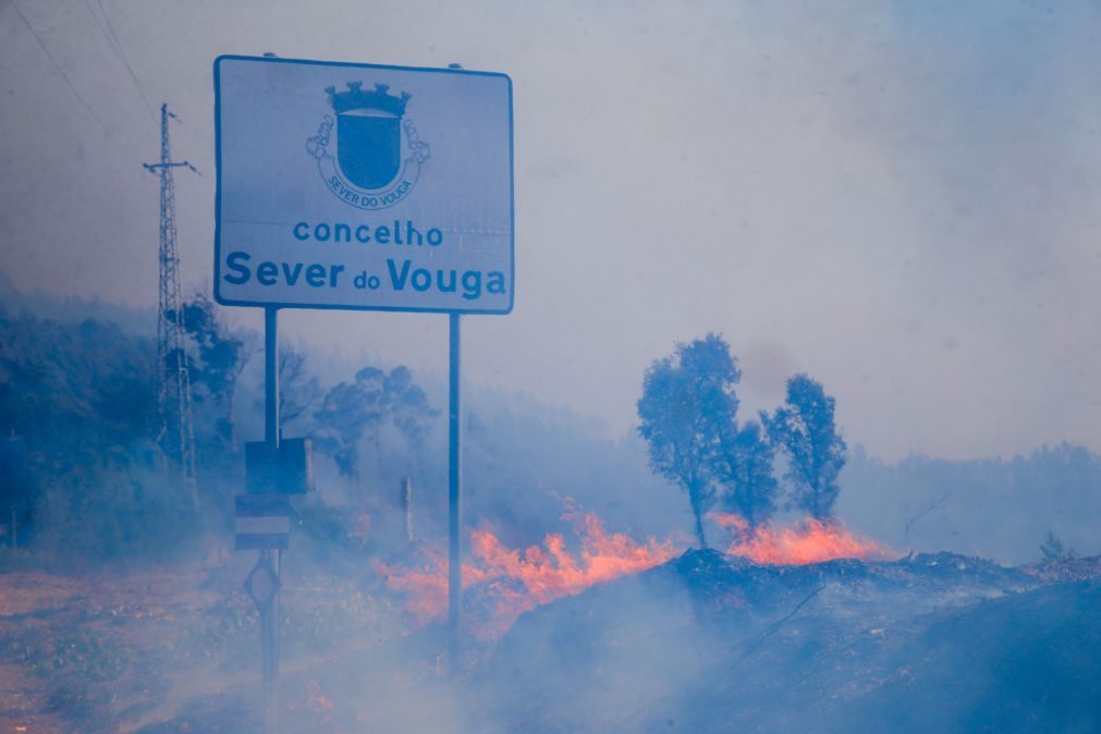 Polícia Judiciária deteve suspeito de atear incêndios em Sever do Vouga