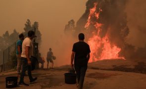 Homem e mulher feridos no fogo de Albergaria-a-Velha morreram hoje