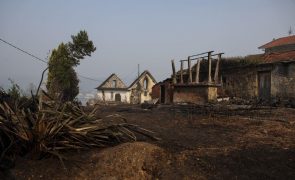 Levantamento dos prejuízos que os incêndios causaram na Região Centro concluído no final da próxima semana