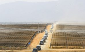 Mais de 500 mil painéis solares geram energia para quase um milhão de angolanos