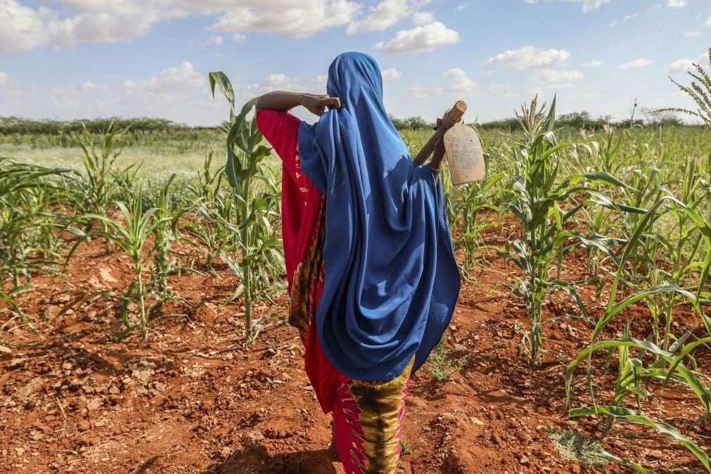 Fome pode agravar-se na Somália à medida que se aproxima o fenómeno La Niña