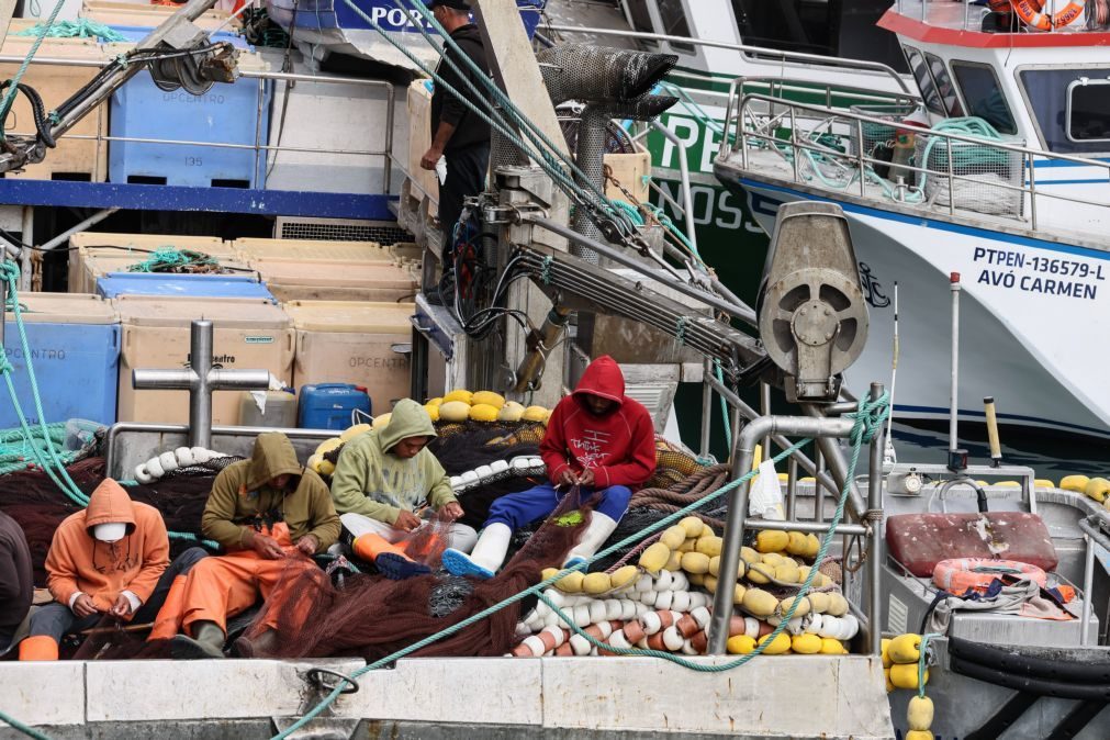 República, Madeira e Açores unem esforços para reivindicar aumento de quotas de pesca na UE