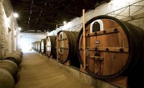 Caves do Vinho do Porto não constam da lista de candidaturas a Património Mundial