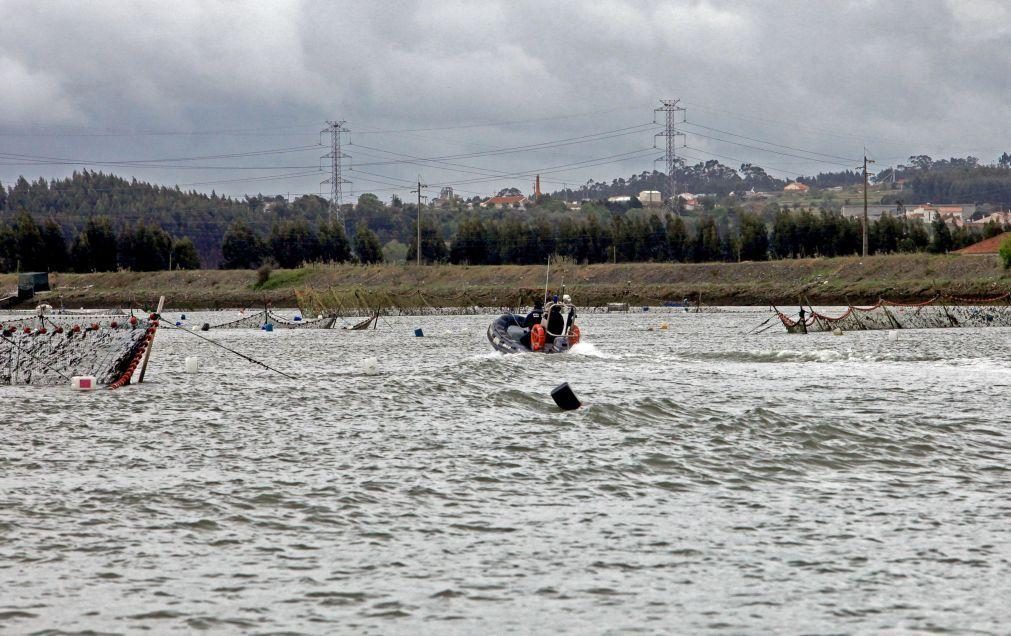 Rio Mondego com menor efetivo de lampreias desde que há registos