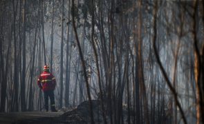 Bruxelas quer alterar regras após Portugal pedir 500 ME para prejuízos dos incêndios