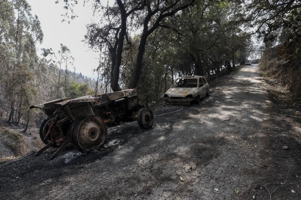 Agricultores do Norte já declaram 1,4 milhões de euros de prejuízos devidos aos incêndios