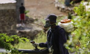 Um dia na brigada anti-mosquito de Cabo Verde, retrato de uma luta global