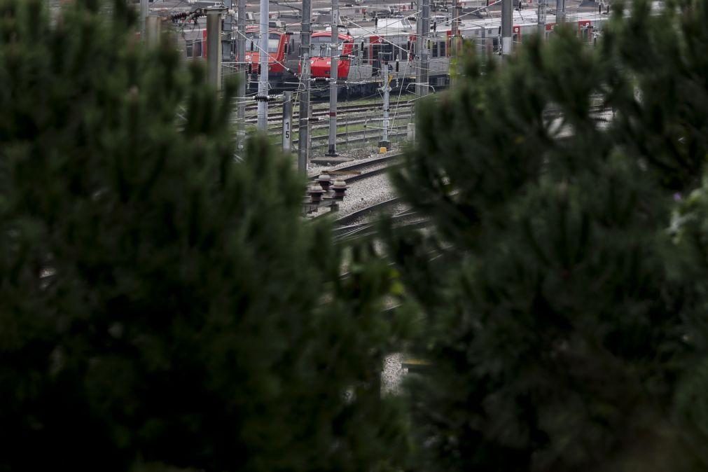 Greve na CP suprimiu 127 comboios até às 10:00, sobretudo Urbanos do Porto