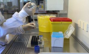 Universidade de Aveiro cria novos derivados de clorofila para combater cancro