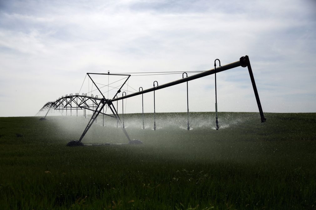 Agricultores contra cortes de água do Alqueva para quem exceder limites de rega