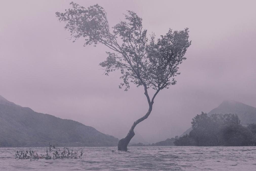 Previsão do tempo para quinta-feira, 31 de outubro