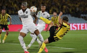 Botafogo do treinador português Artur Jorge na final da Taça Libertadores