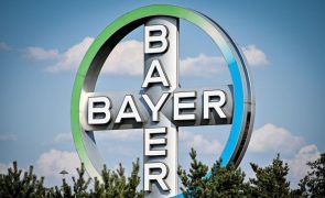 Grupo farmacêutico Bayer enfrenta perdas de 48% em relação a 2023