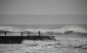 Portugal longe da meta internacional de proteger 30% do Oceano até 2030