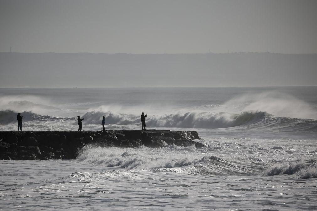 Portugal longe da meta internacional de proteger 30% do Oceano até 2030