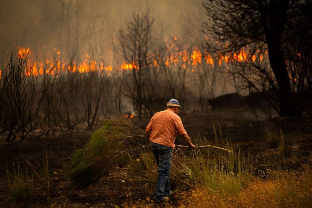 Incêndios: Área ardida de mais de 136 mil ha foi a terceira maior na década - ICNF