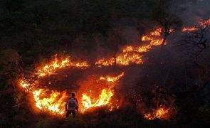 Incêndios no Brasil devastaram 27,6 milhões de hectares de janeiro a outubro