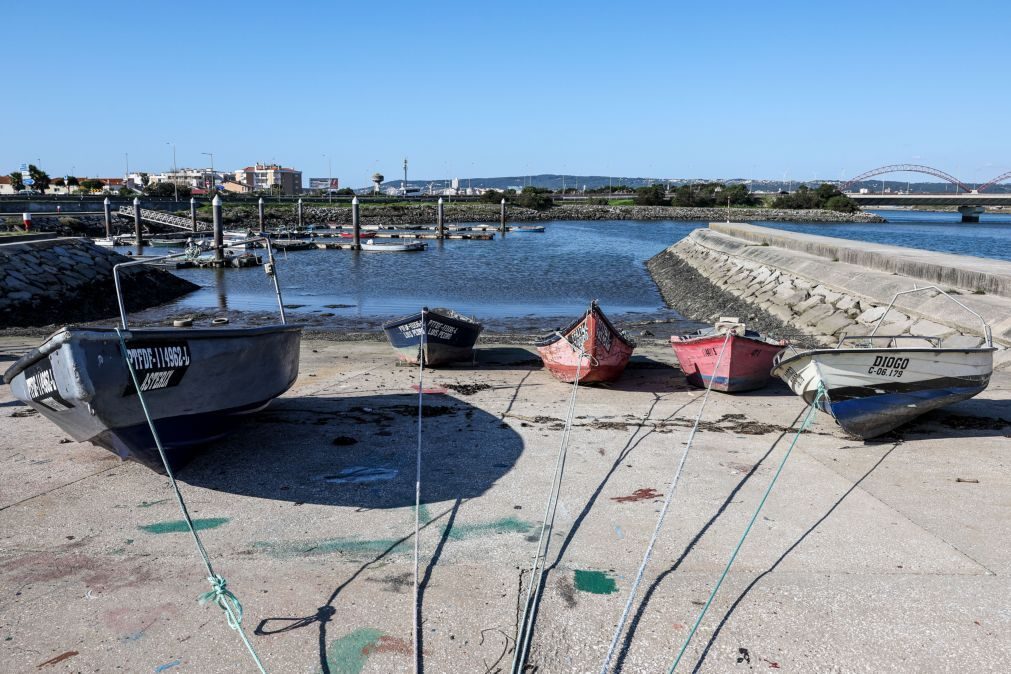 Pescadores da Figueira da Foz alertam para perigo de morte em cais da margem sul