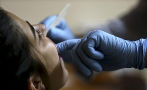 Ordem alerta para aumento de dentistas em situação ilegal no serviço público e social