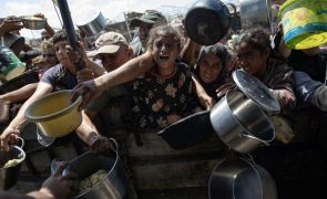 Nações Unidas avisam que fome em Gaza atingiu 