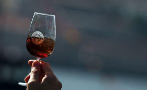 Redução do consumo mundial de vinho é preocupação número um da ViniPortugal