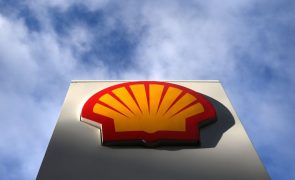 Shell vai avaliar potencial petrolífero de seis blocos petrolíferos angolanos