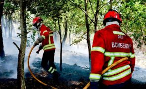 Stellantis doa 225 mil euros a quatro corporações de bombeiros de Viseu