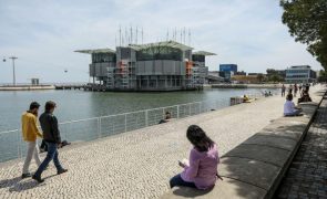 Nova exposição do Oceanário de Lisboa promete experiência imersiva e poética