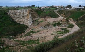 Zero assinala Dia Mundial do Solo pedindo lei sobre terrenos contaminados