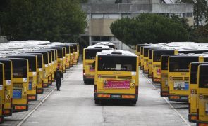 Transportes públicos e Carris nas prioridades do orçamento para a mobilidade em Lisboa - Câmara