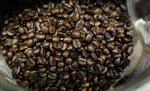 Brasil exportou um recorde de 46,4 milhões de sacas de café até novembro