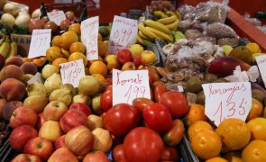 ASAE apreende 24 toneladas de fruta durante o tansporte no Algarve