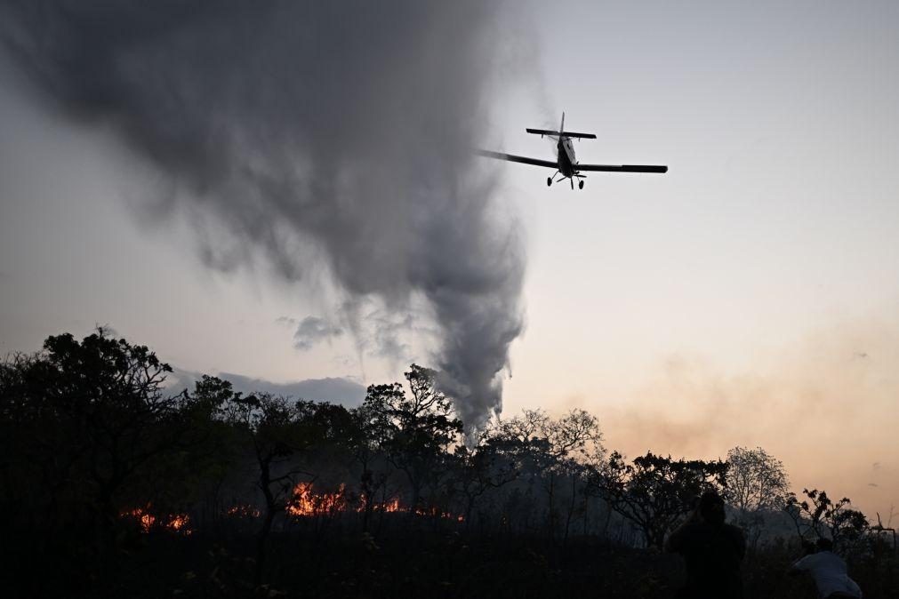 Área afetada por incêndios no Brasil quase duplicou até novembro face a 2023