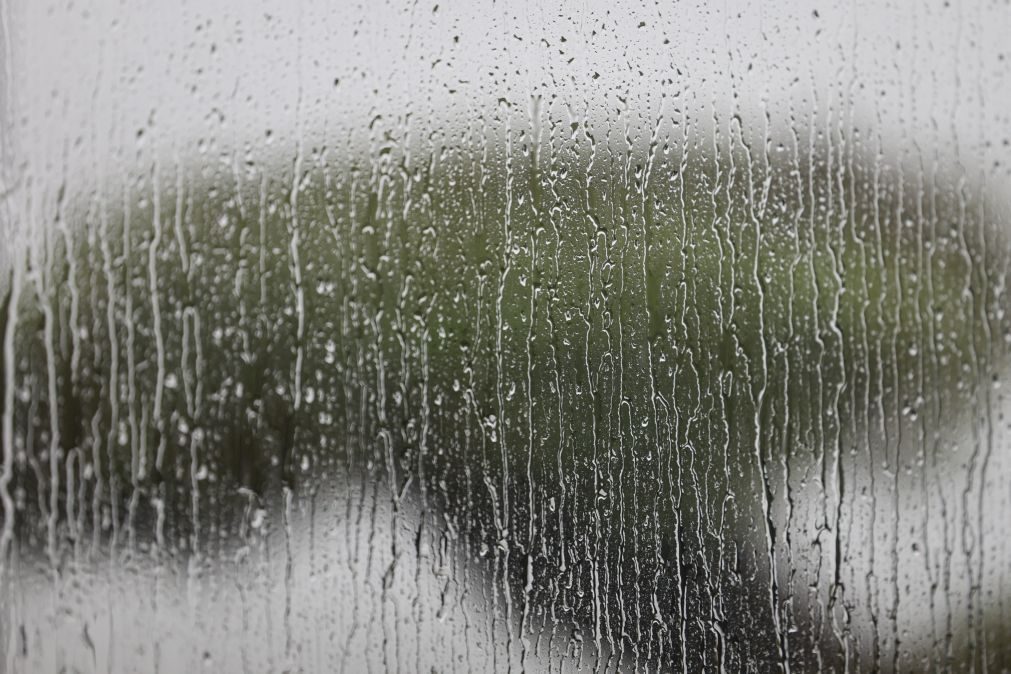 Seis distritos do norte sob aviso amarelo quarta e quinta-feira devido à chuva