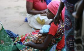 ACNUR diz que 190 mil pessoas precisam de apoio urgente em Moçambique após ciclone