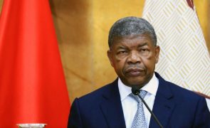 Angola estima perdas de 151 ME na exportação da madeira serrada em 2024