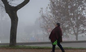 Distritos de Bragança e Guarda sob aviso amarelo devido ao nevoeiro