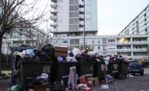 Adesão à greve na recolha do lixo em Lisboa rondou os 80% no primeiro turno