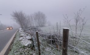 Passagem de ano com temperaturas mínimas entre os -3°C e os 10°C no continente