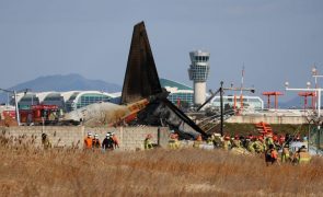 Acidente de avião terá causado 179 mortos na Coreia do Sul