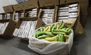 PJ apreende 3,5 toneladas de cocaína escondidas em paletes de bananas